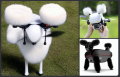 Bildschirmfoto 2023-03-20 um 10.53.43.png