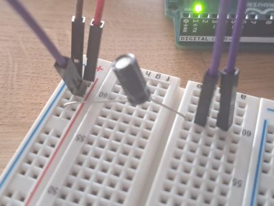 The Breadboard, purple wires are for holding in your hands. Capacitor to smooth out the voltage.